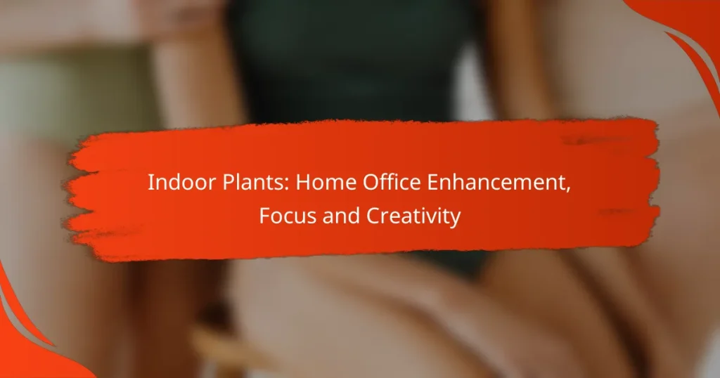 Indoor Plants: Home Office Enhancement, Focus and Creativity