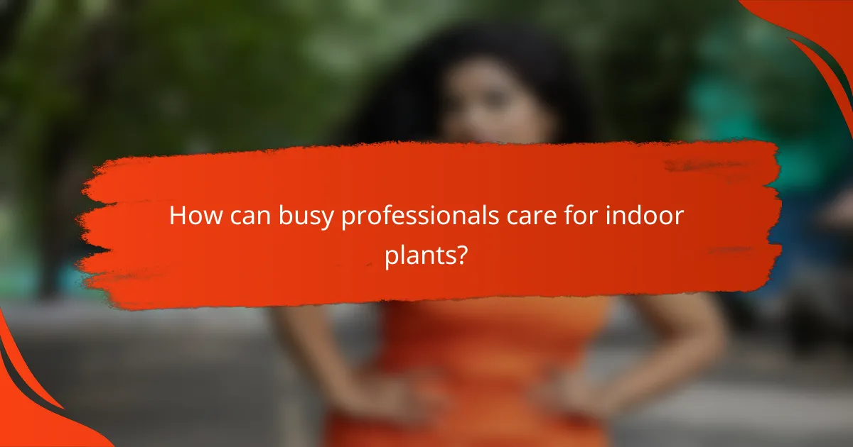 How can busy professionals care for indoor plants?