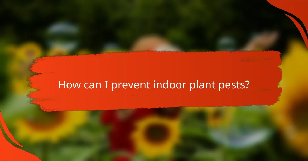 How can I prevent indoor plant pests?