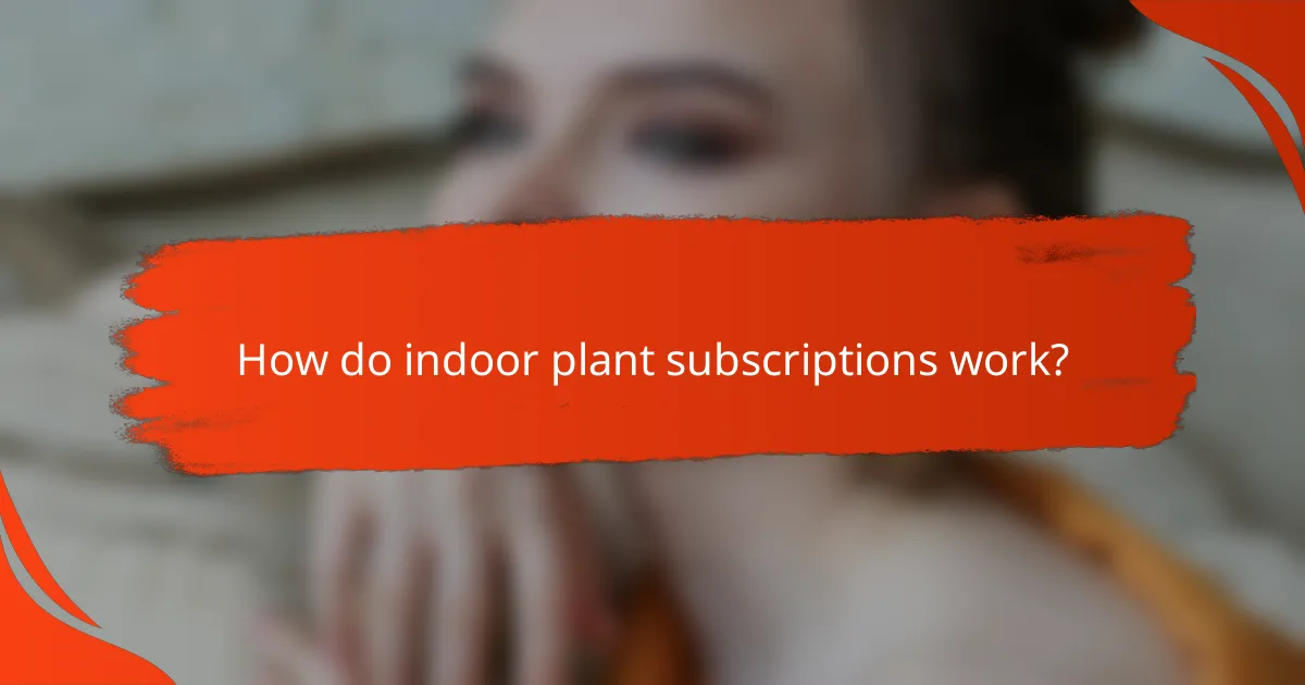 How do indoor plant subscriptions work?