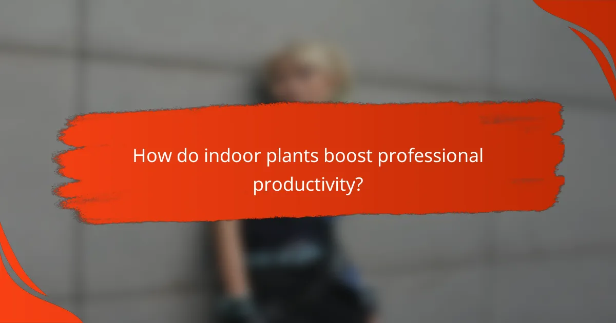 How do indoor plants boost professional productivity?
