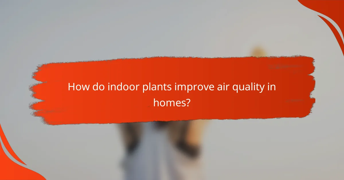 How do indoor plants improve air quality in homes?