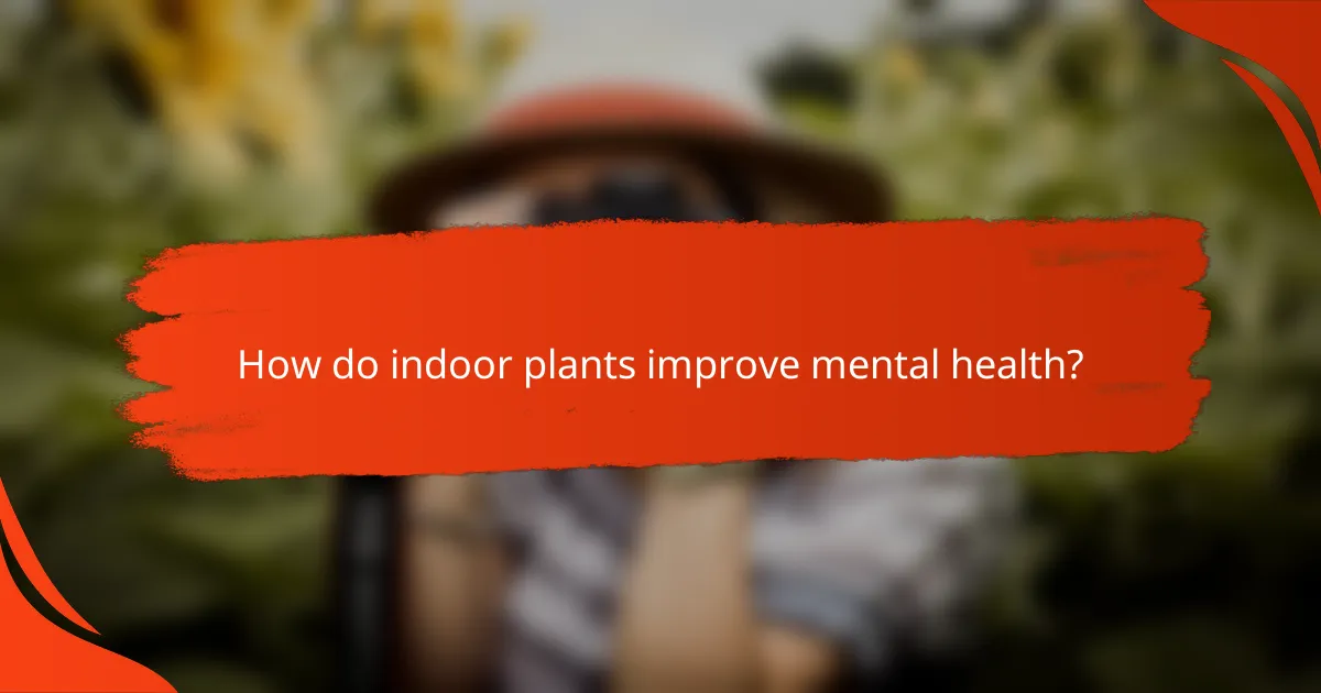 How do indoor plants improve mental health?