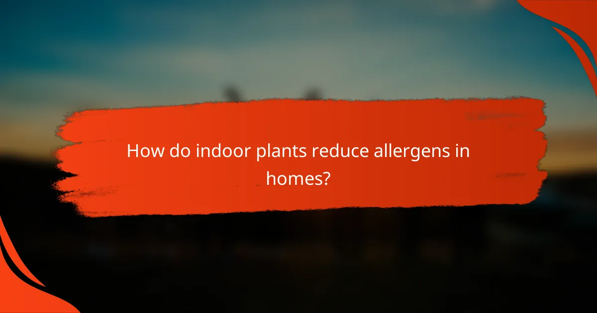 How do indoor plants reduce allergens in homes?