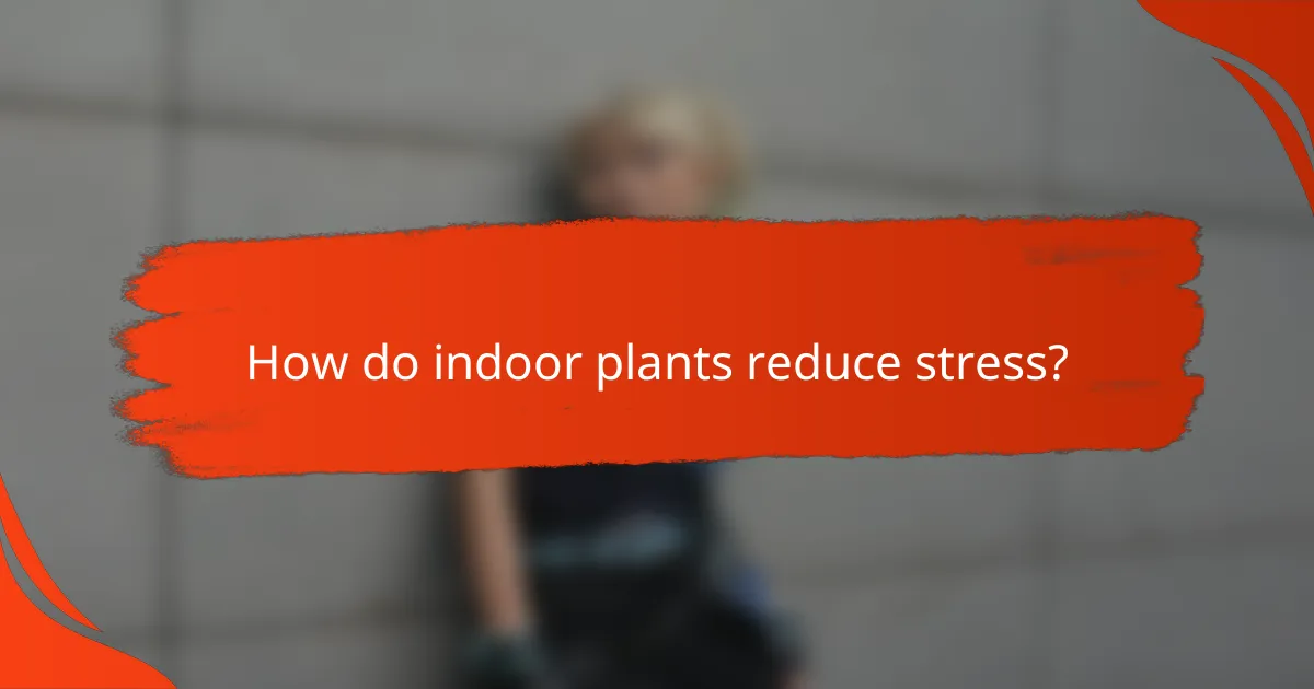 How do indoor plants reduce stress?