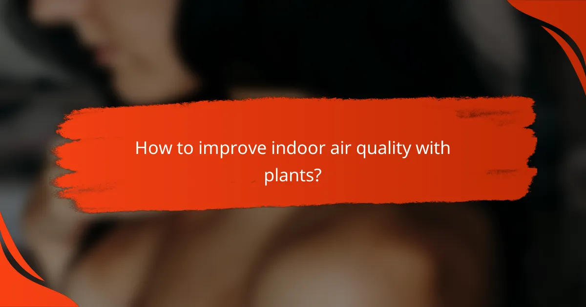 How to improve indoor air quality with plants?