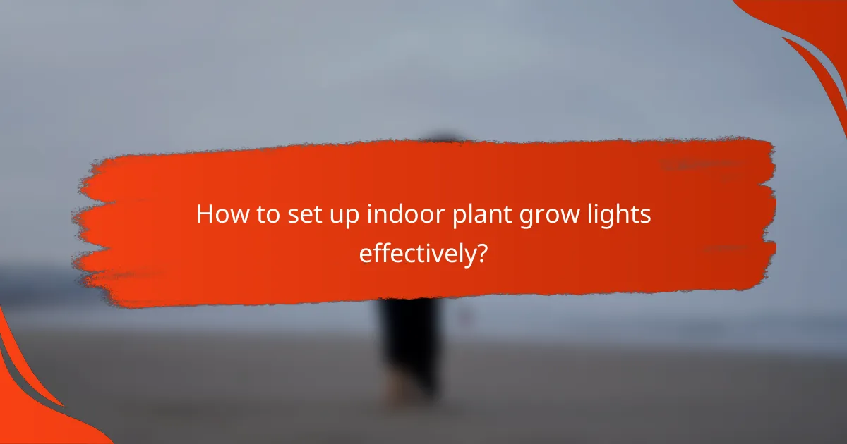 How to set up indoor plant grow lights effectively?