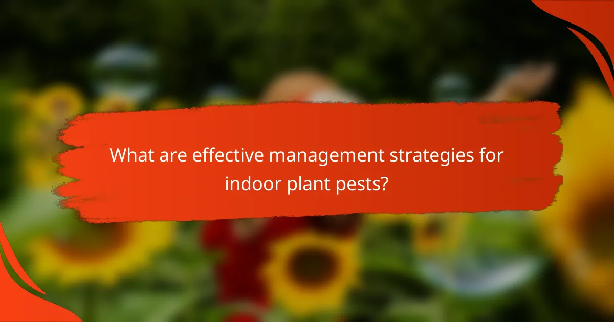 What are effective management strategies for indoor plant pests?