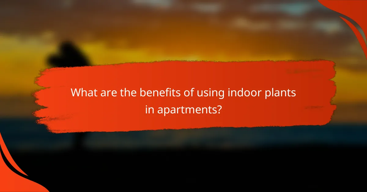 What are the benefits of using indoor plants in apartments?