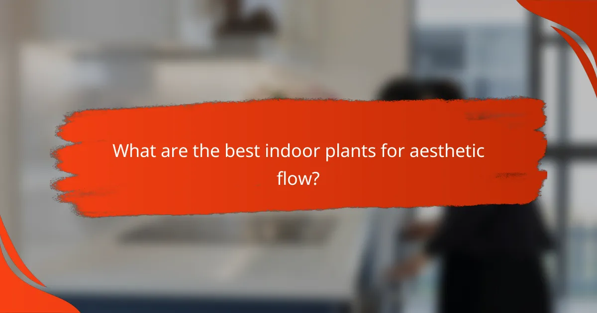 What are the best indoor plants for aesthetic flow?