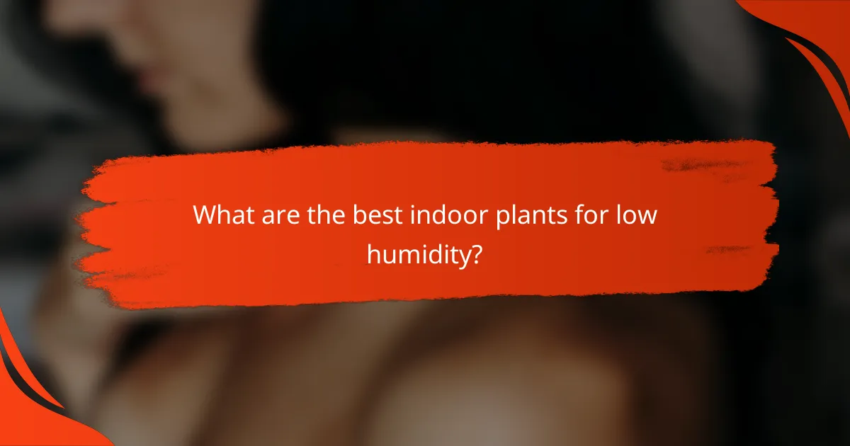 What are the best indoor plants for low humidity?