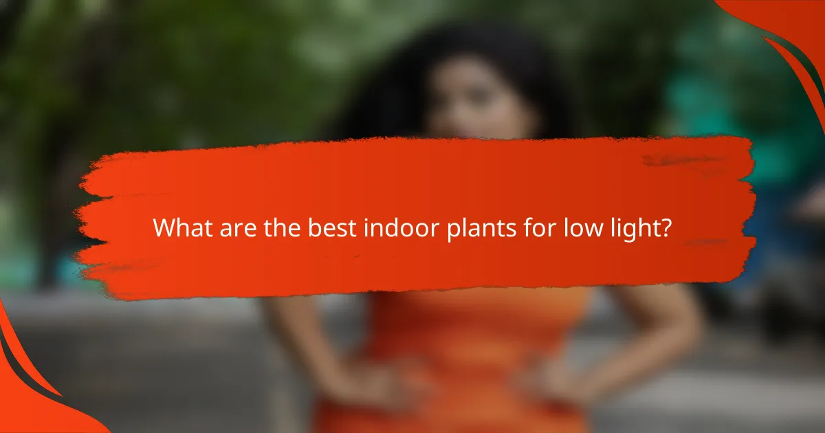 What are the best indoor plants for low light?