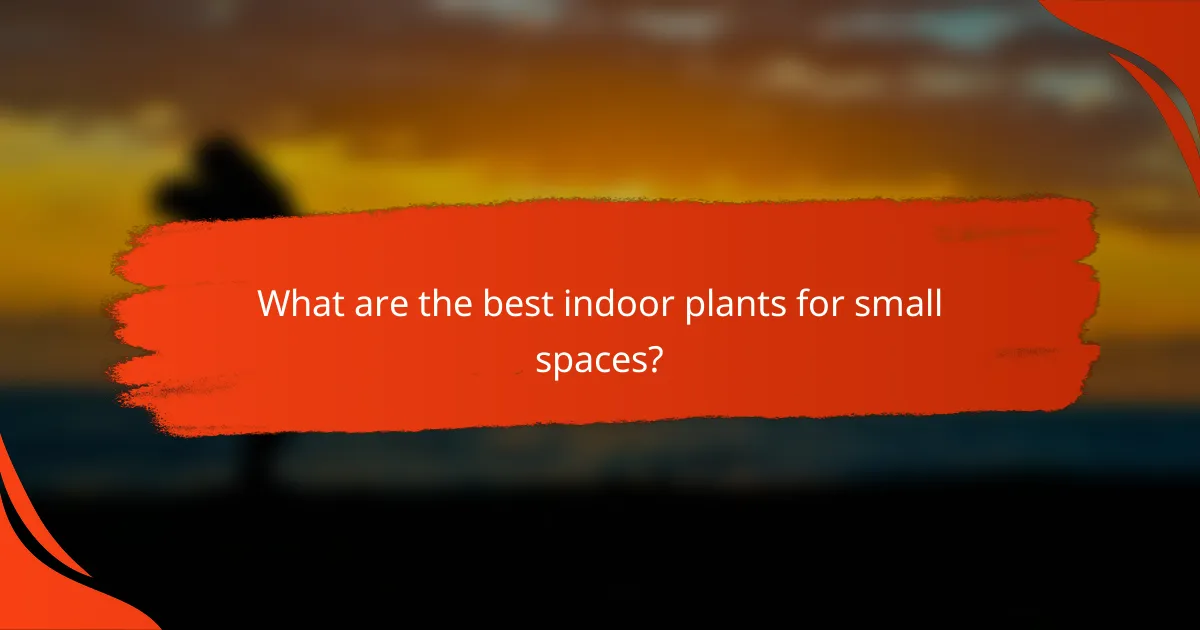 What are the best indoor plants for small spaces?