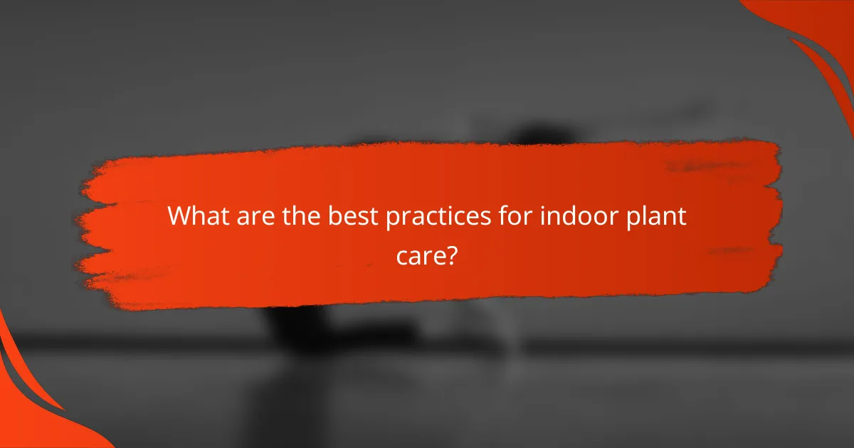 What are the best practices for indoor plant care?