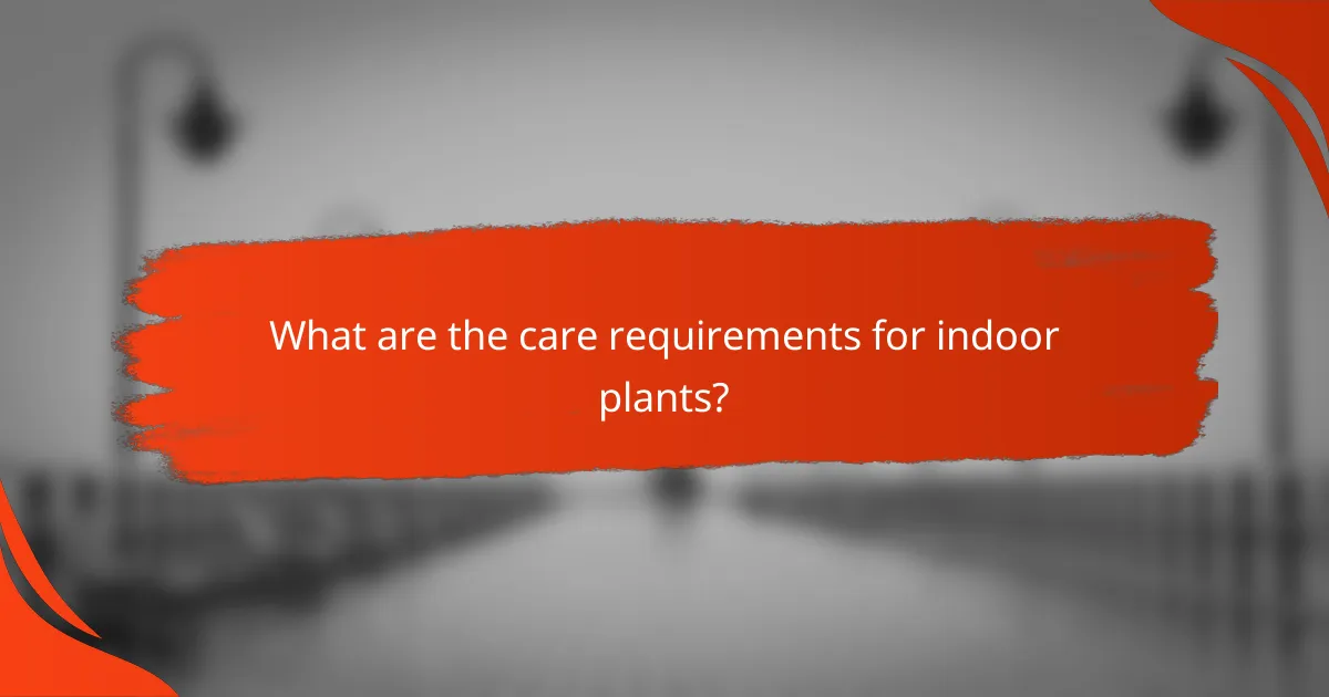What are the care requirements for indoor plants?