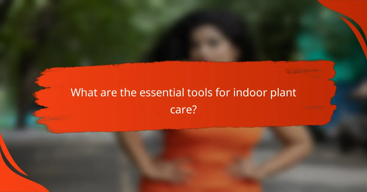What are the essential tools for indoor plant care?