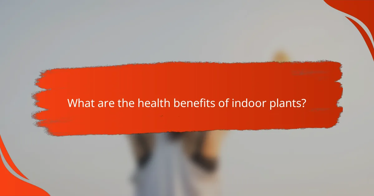 What are the health benefits of indoor plants?