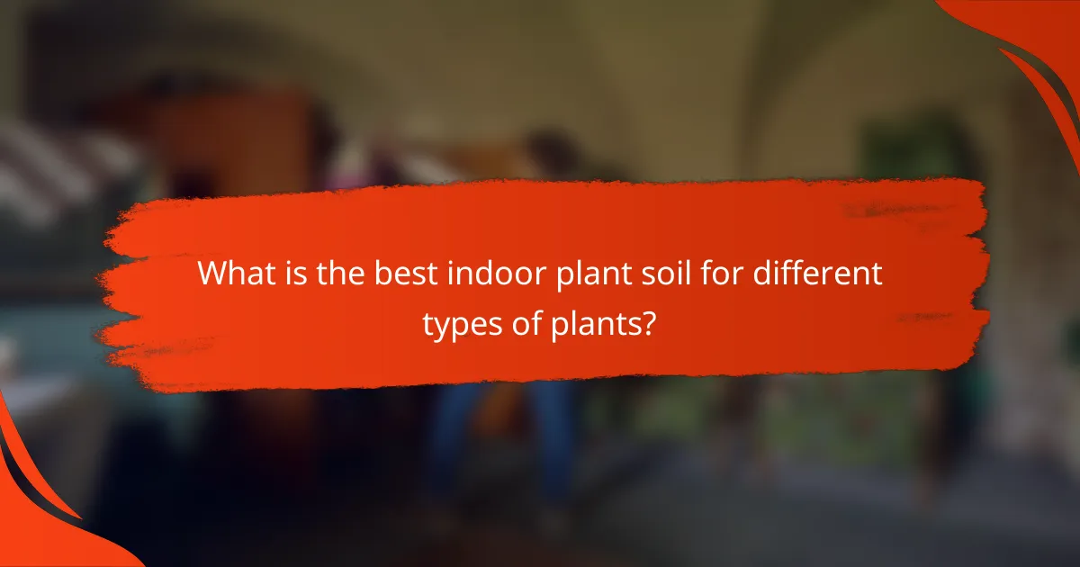 What is the best indoor plant soil for different types of plants?