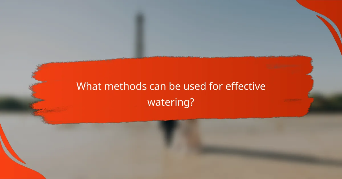 What methods can be used for effective watering?