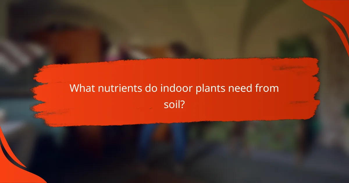 What nutrients do indoor plants need from soil?