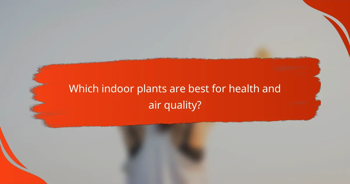 Which indoor plants are best for health and air quality?