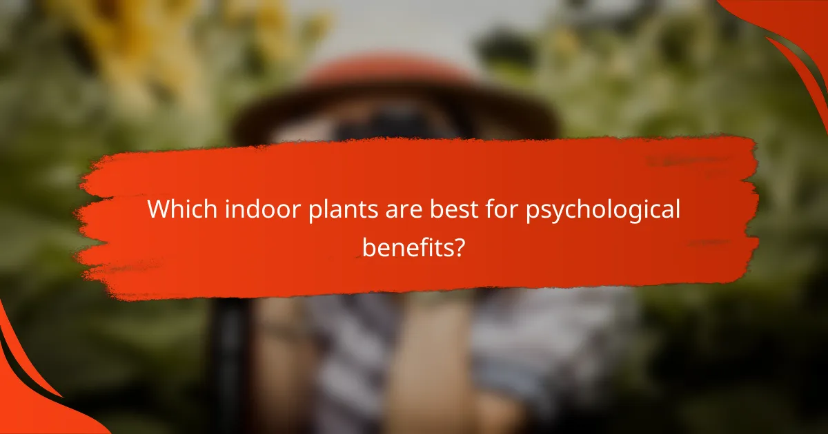 Which indoor plants are best for psychological benefits?