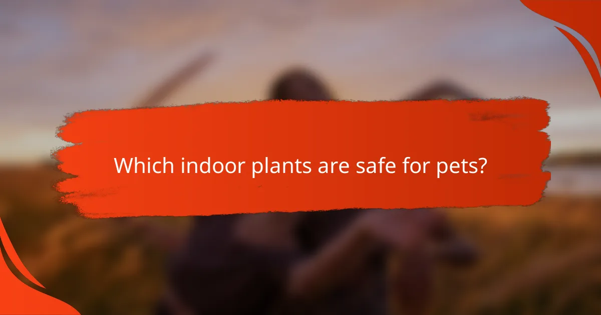 Which indoor plants are safe for pets?
